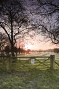Harnham water meadows Royalty Free Stock Photo