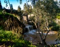 Harod Stream in  Beit She`an Valley. Waterfall and old aqueduct in the eucalyptus grove Royalty Free Stock Photo