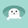 Harp baby seal pup. Ice-hole Cute cartoon character. Blue background. Flat design