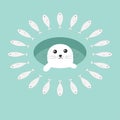 Harp baby seal pup, ice-hole, fish circle. Cute cartoon character. Blue background. Flat design