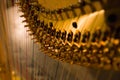 Harp detail