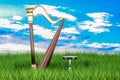 Harp in green grass against blue sky, 3d rendering