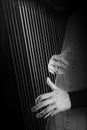 Harp hands Royalty Free Stock Photo