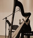 Harp music. Harp instrument closeup.