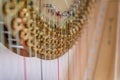 Harp Music Instrument and Strings with Shallow Depth Of Field. Royalty Free Stock Photo