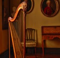 Harp in the Music Salon at Rosenberg Castle