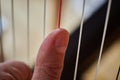 Harp strings close-up