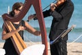 Harp and violin concert at the seaside for the wedding day. Royalty Free Stock Photo