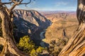 Harpers Corner Overlook In Northwest Colorado