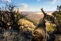 Harpers Corner Overlook In Northwest Colorado