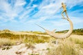 Harpooner sculpture on Martha`s Vineyard New Eng;land by sculptor Jay Lagemann installed in 1994