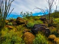 Harquahala Trail Arizona