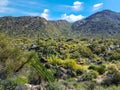 Harquahala Trail Arizona