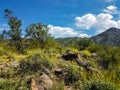 Harquahala Trail Arizona