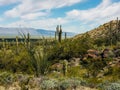 Harquahala Trail Arizona