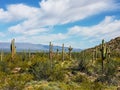 Harquahala Trail Arizona