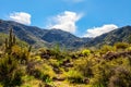 Harquahala Trail Arizona