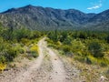 Harquahala Trail Arizona