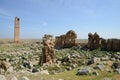 Harran ruines - Anatolia Royalty Free Stock Photo