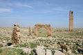 Harran ruines - Anatolia Royalty Free Stock Photo