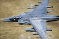 Harrier GR 9 RAF Royalty Free Stock Photo
