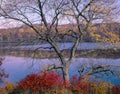 Harriman State Park in autumn Royalty Free Stock Photo