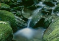 Harriman State Park stream Royalty Free Stock Photo