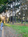 Harrow Park in Greater London with people enjoying fresh air and nature