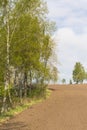 Harrowed field Royalty Free Stock Photo