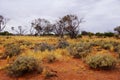 Arid Lands, Roxy Downs, outback South Australia Royalty Free Stock Photo