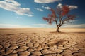 Harsh beauty lone tree defies the cracked and desolate desert Royalty Free Stock Photo