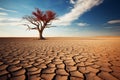 Harsh beauty lone tree defies the cracked and desolate desert Royalty Free Stock Photo