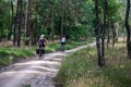 Harskamp, Gelderland, The Netherlands - Cyclists driving through the woods of the Veluwe national park