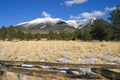 Hart Prairie and Mount Humphries