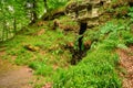 Hartburn Grotto in Glebe Woods Royalty Free Stock Photo