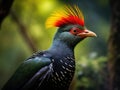 Hartlaub s turaco (Tauraco hartlaubi)   Made With Generative AI illustration Royalty Free Stock Photo