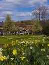 Hartley Wintney, Hampshire