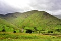 Pasture Bottom below hte summit of Harstop Dodd Royalty Free Stock Photo