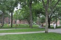 Cambridge MA, 30th june: Harvard Campus Yard in Cambridge Massachusettes State of USA Royalty Free Stock Photo