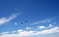 HARVARD FLYING HIGH IN A BLUE SKY