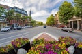 Harvard Square in Cambridge, MA, USA Royalty Free Stock Photo