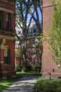 Harvard University campus, Cambridge, USA Royalty Free Stock Photo