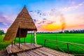 Harvesing rice field and wooden pavilion in Sukhothai,Thailand Royalty Free Stock Photo