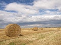 Harvest