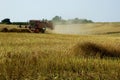 Harvest Royalty Free Stock Photo