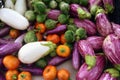 Harvest Abundance at Farmers Market, Maryland, USA