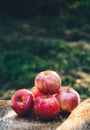 Harvest of apples. Juicy apples on the table. Autumn concept. Pile of apples.