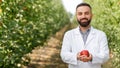 Harvest in august. Country farming, ripe juicy fruit on palm of gardener in garden Royalty Free Stock Photo