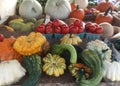 A harvest of autumn fruit and vegetables at a farmer`s market