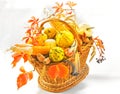 Harvest basket